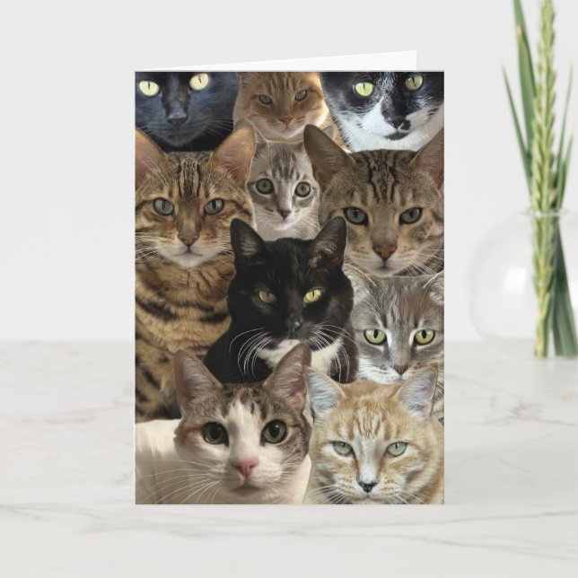 Tarjeta de cumpleaños de Cat Lover (Anverso)