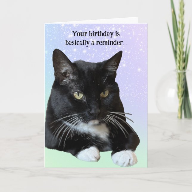 Tarjeta de cumpleaños de Cat Lover (Anverso)
