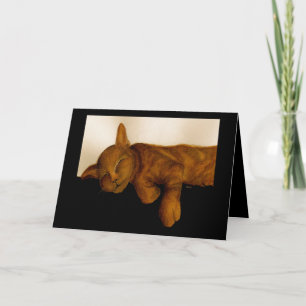 Tarjeta de cumpleaños de Cat Nap humorística