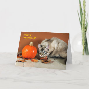 Tarjeta de cumpleaños de Cat & Pumpkin