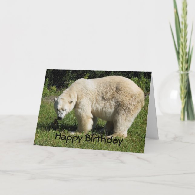 tarjeta de cumpleaños de cebador polar (Anverso)