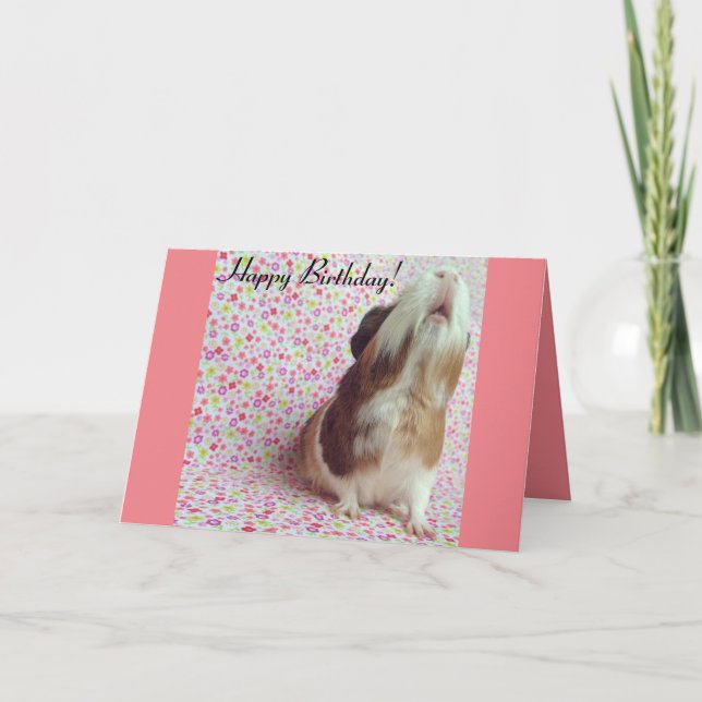 Tarjeta de cumpleaños de cerdo de Guinea Adorable (Anverso)