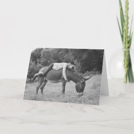 Tarjeta de cumpleaños de chica Riding Donkey