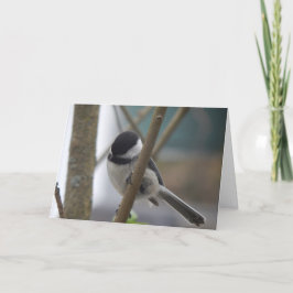 Tarjeta de cumpleaños de Chickadee