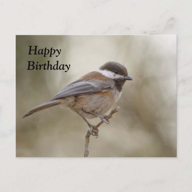 Tarjeta de cumpleaños de Chickadee (Anverso)