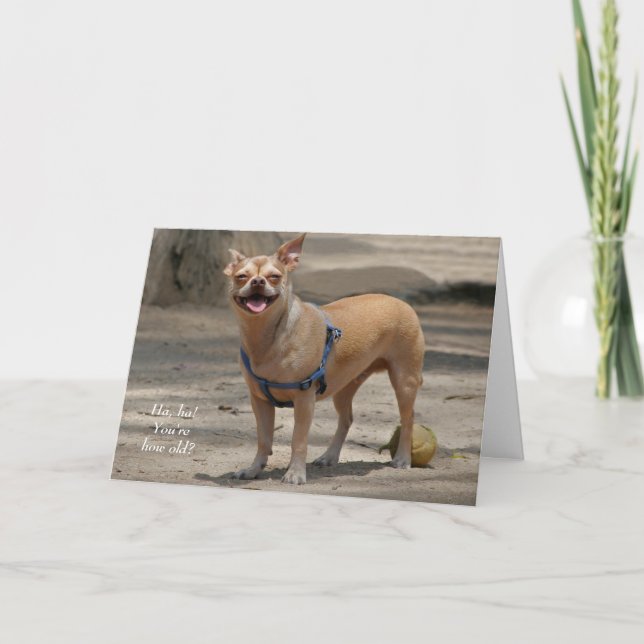 Tarjeta de cumpleaños de Chihuahua (Anverso)