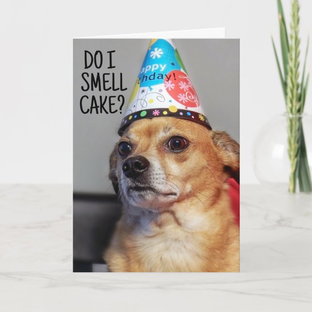 TARJETA DE CUMPLEAÑOS DE CHIHUAHUA DOG FUNNY (Anverso)