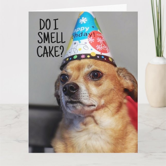 TARJETA DE CUMPLEAÑOS DE CHIHUAHUA DOG FUNNY (Anverso)
