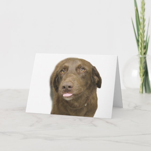 Tarjeta de cumpleaños de Chocolate Lab (Anverso)