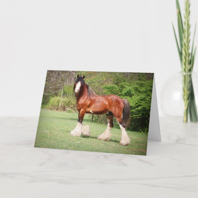 Tarjeta de cumpleaños de Clydesdale (Anverso)