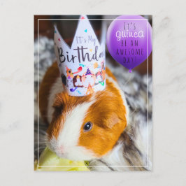 Tarjeta de cumpleaños de cobaya