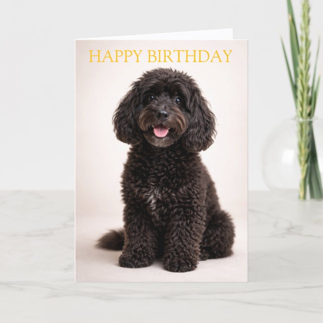 Tarjeta de cumpleaños de Cockapoo Diseño minimalis (Anverso)