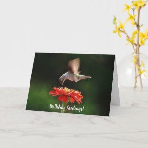 Tarjeta de cumpleaños de colibrí y flor de la natu