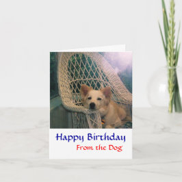 Tarjeta de cumpleaños de Collie de borde