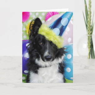 Tarjeta de cumpleaños de Collie de borde