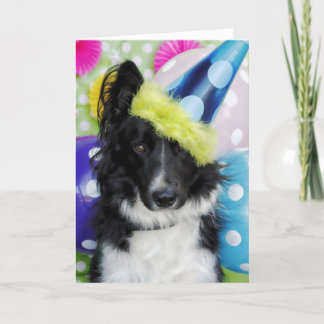 Tarjeta de cumpleaños de Collie de borde