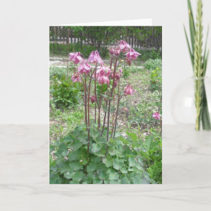 Tarjeta de cumpleaños de Colorado Columbine