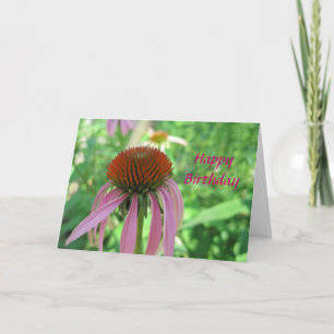 Tarjeta de cumpleaños de Coneflower