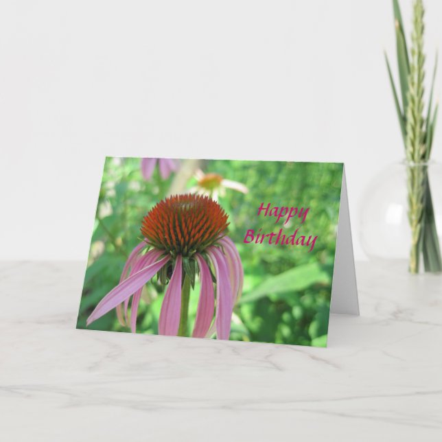 Tarjeta de cumpleaños de Coneflower (Anverso)