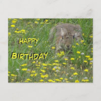 Tarjeta de cumpleaños de conejo en campo de flores