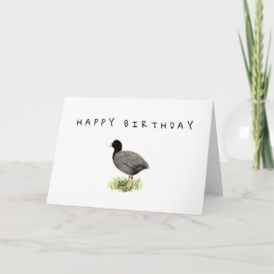 Tarjeta de cumpleaños de Coot Antiguo