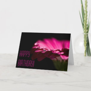 Tarjeta de cumpleaños de crisantemo rosa