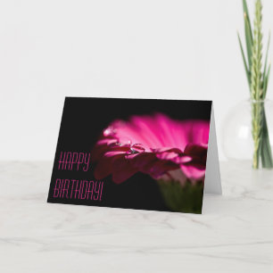 Tarjeta de cumpleaños de crisantemo rosa de person