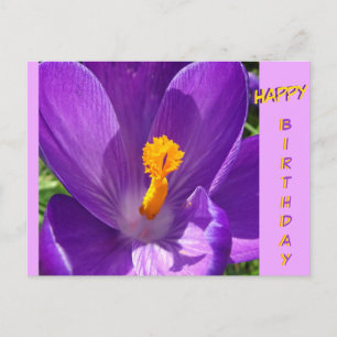 Tarjeta de cumpleaños de Crocus en primer plano