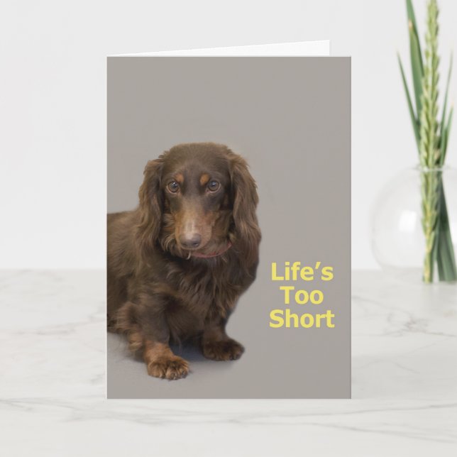 Tarjeta de cumpleaños de Dachshund (Anverso)