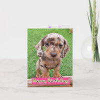 Tarjeta de cumpleaños de Dachshund Puppy