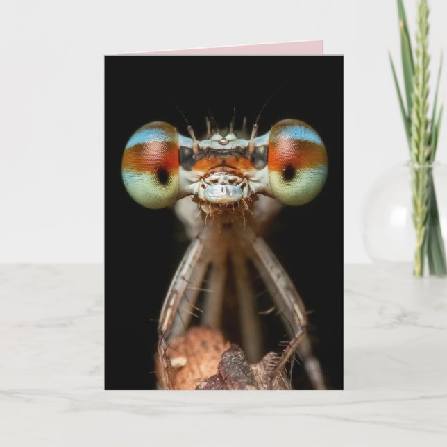 TARJETA DE CUMPLEAÑOS DE DAMAMARGADA (Anverso)