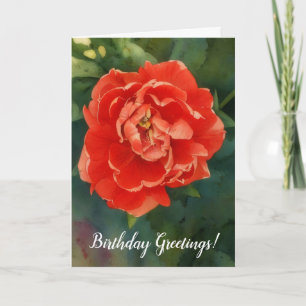 Tarjeta de cumpleaños de doble Petal rojo Tulip Fl