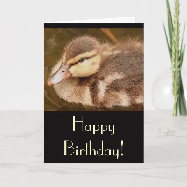 Tarjeta de cumpleaños de Duckday (Anverso)