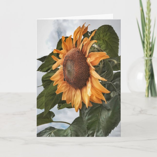 Tarjeta de cumpleaños de energía de girasol (Anverso)