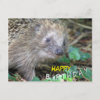Tarjeta de cumpleaños de Erizo Lindo