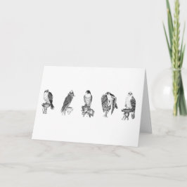 Tarjeta de cumpleaños de estudios de Falconry