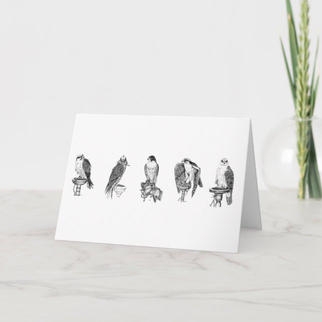 Tarjeta de cumpleaños de estudios de Falconry (Anverso)