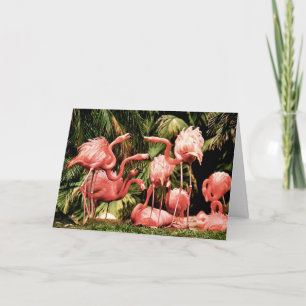 Tarjeta de cumpleaños de flamenco Flamboyance
