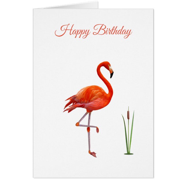Tarjeta de cumpleaños de flamenco rosa precioso (Frente)