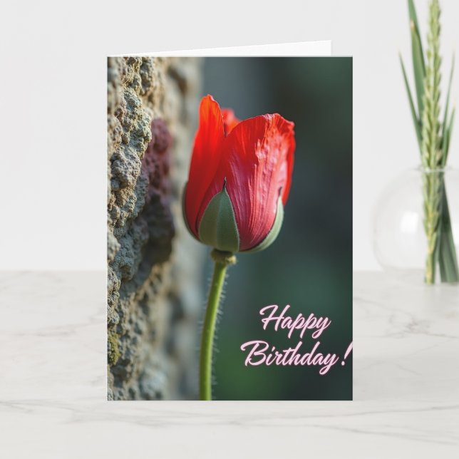 Tarjeta de cumpleaños de flor de escarlata (Anverso)