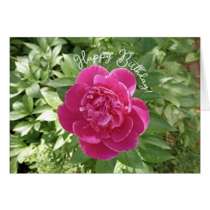 Tarjeta de cumpleaños de flor de peonía rosa vibra