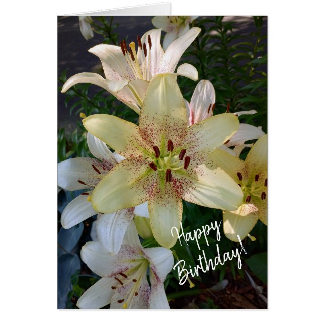 Tarjeta de cumpleaños de flores amarillas amarilla (Frente)