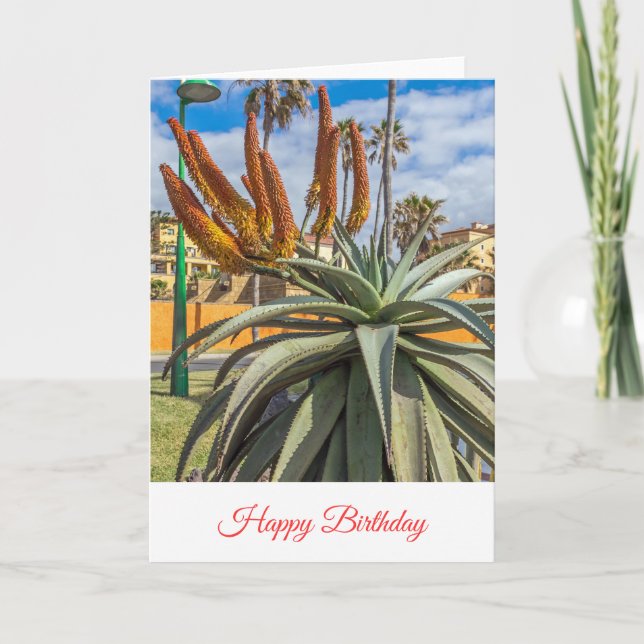 Tarjeta de cumpleaños de flores de Aloe Vera (Anverso)