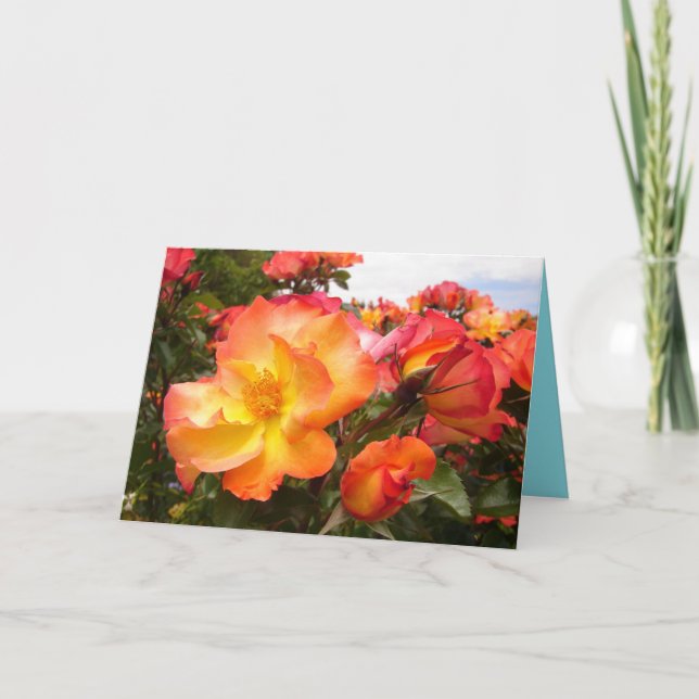 Tarjeta de cumpleaños de flores florales de rosas  (Anverso)