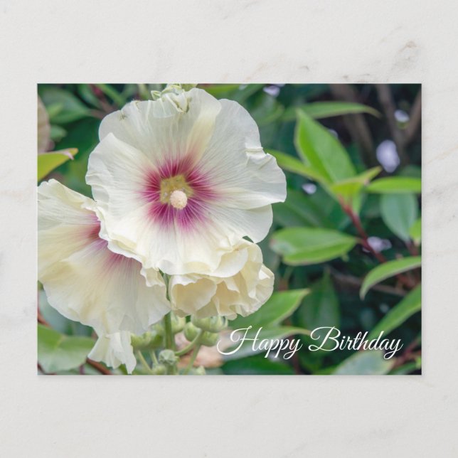 Tarjeta de cumpleaños de flores Hollyhock (Anverso)