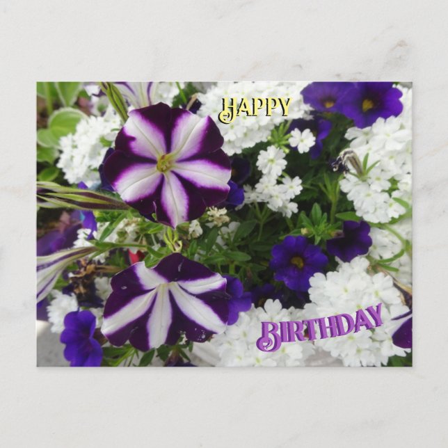 Tarjeta de cumpleaños de flores moradas blancas y  (Anverso)