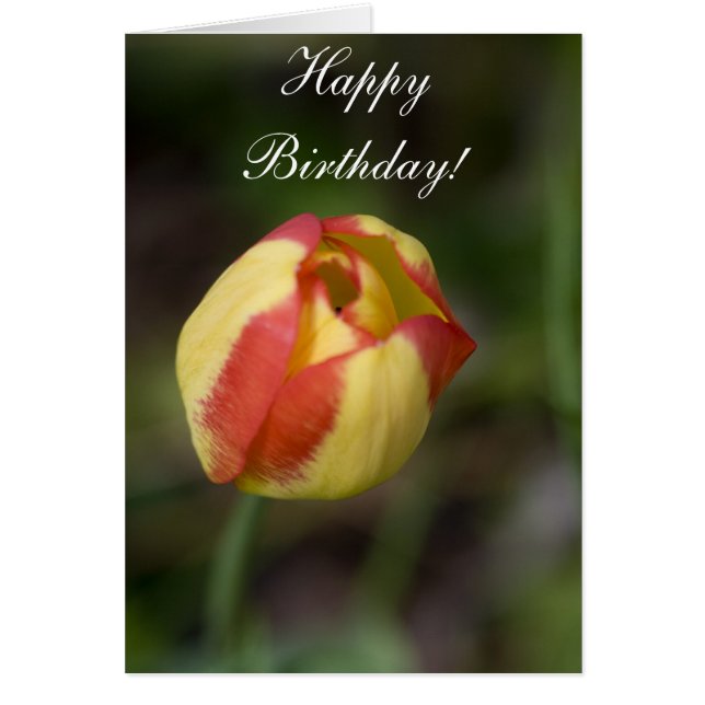 Tarjeta De Cumpleaños De Flores Rojas Y Amarillas (Frente)