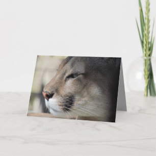Tarjeta de cumpleaños de Florida Panther