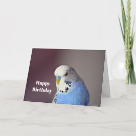 Tarjeta de cumpleaños de foto de bonito Blue Budgi