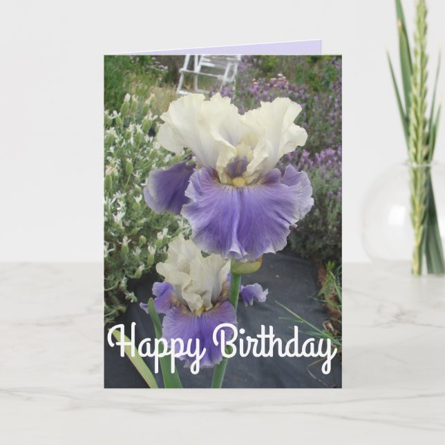 Tarjeta de cumpleaños de foto de flores de Iris mo (Anverso)